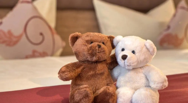 Одноместный номер Standard Ströbinger Hof - Therme Wellness Resort