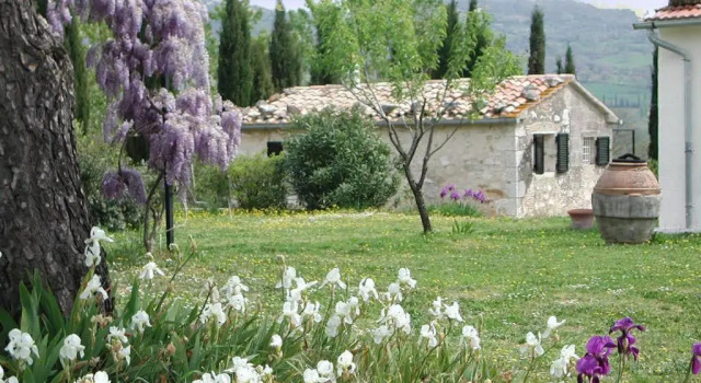 Апартаменты Vignagrande Agriturismo