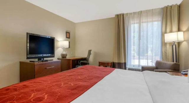 Номер Standard Comfort Inn & Suites Macon West