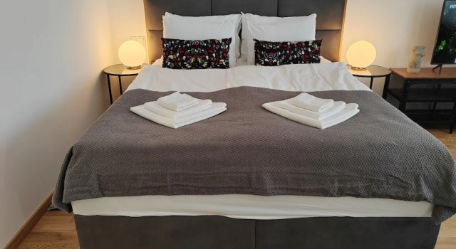 S15 Studio Apartment Zagreb Croatia-free Parking