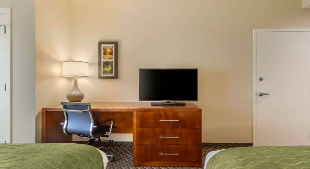 Четырёхместный номер Standard Comfort Inn & Suites Florence Center Area