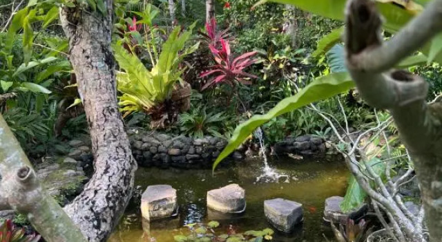 Номер Deluxe Rumah Kelapa Villa Alami