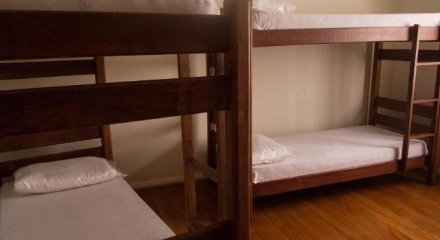 The Backpacker Cat Hostel