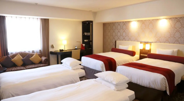 Двухместный номер Deluxe Mercure Sapporo
