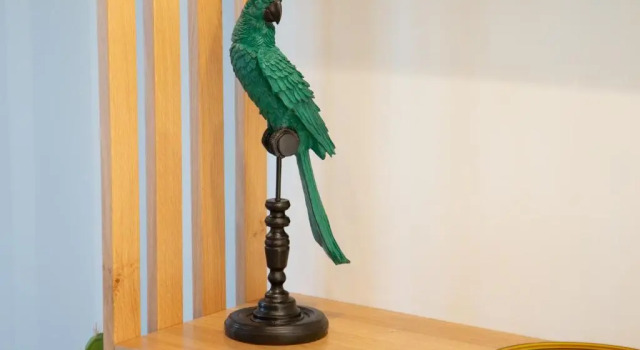 Номер Standard ALTAMOTHYCA
