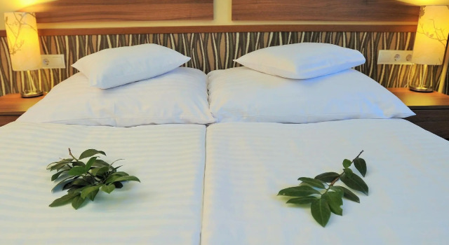 Номер Standard Park Hotel Gyula