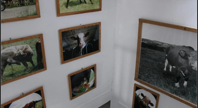 Hotel Artfarm, Забронировать Отель Виль Bergisches Land