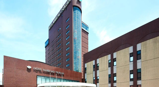 Номер Standard Hotel Marroad Tsukuba