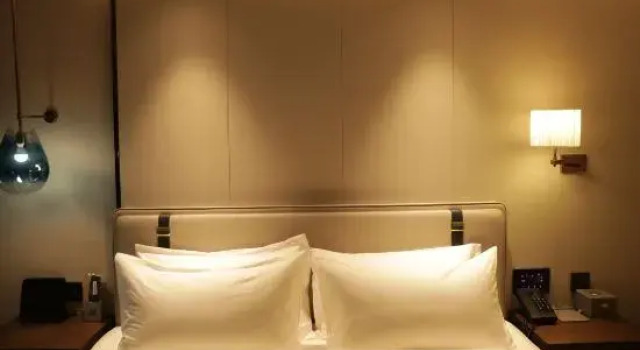Dyrektorski suite Posher House Urumqi Hotel (Tianshan International Airport · Degang Wanda)