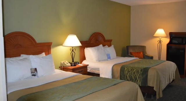 Номер Deluxe Comfort Inn Pine Grove I-81 Hershey Area