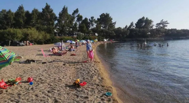 Dimitras Family Apartments 1, Book Apartment Paradisos Sithonia