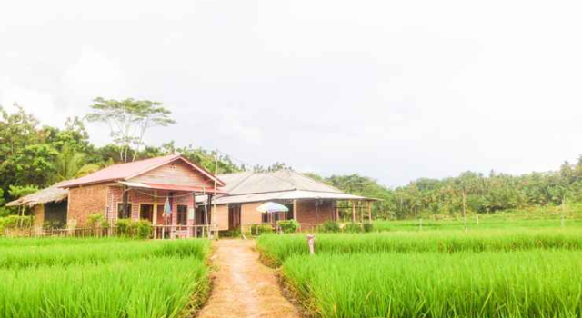 Penginapan Srikandi Sawarna Homestay, Book Hotel Cisolok West Java