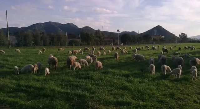 Agriturismo Il Nuraghe