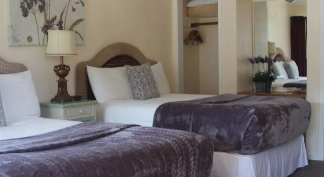 Четырёхместный номер Standard Peach Tree Inn