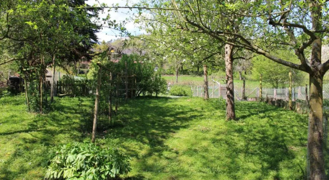 Апартаменты Ferienwohnung Burgsicht