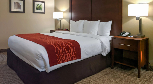 Двухместный номер Standard Comfort Inn Marrero - New Orleans West
