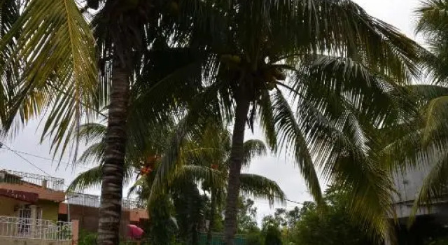 Les Gentilhommieres Guest House, Prenota Affittacamere Trou aux Biches Mauritius Costa Nord