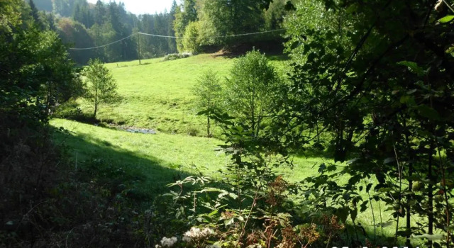 Апартаменты Ferienwohnung Oberkirchen