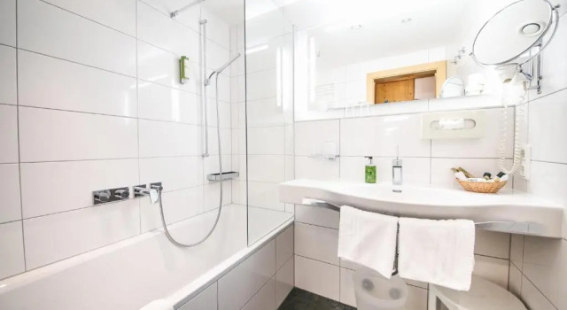 Полулюкс с балконом Hotel Grieshof