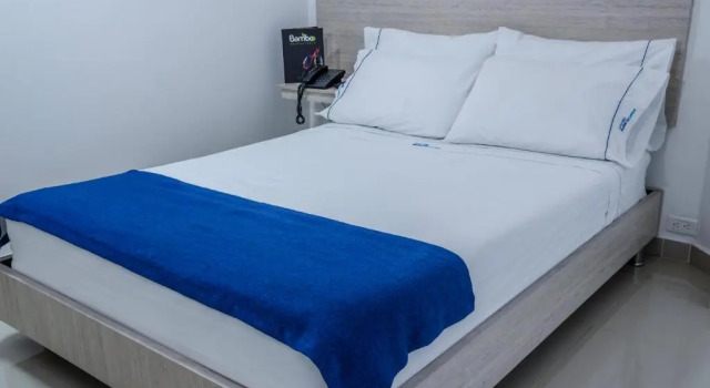Двухместный номер Standard Hotel Suite del Parque