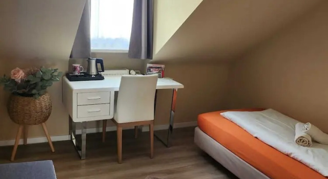 Одноместный номер Economy Hotel Schweizer Stubb
