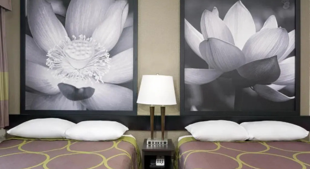 Четырёхместный номер Standard Super 8 by Wyndham Florence