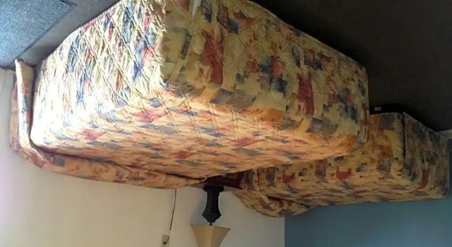 Четырёхместный номер Standard Redwood Motel