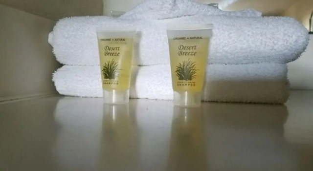 Четырёхместный номер Standard Midtown Hotel New Orleans