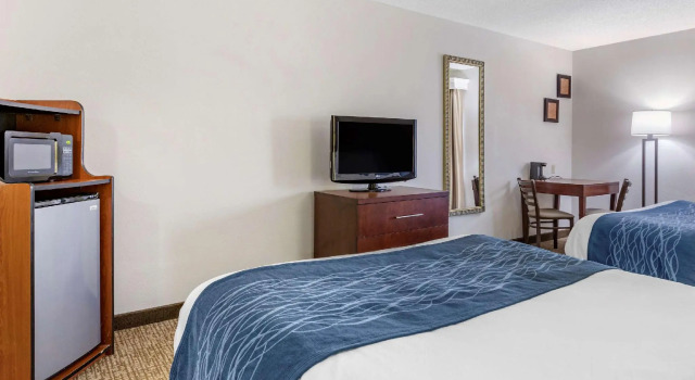 Четырёхместный номер Standard Comfort Inn Kalamazoo
