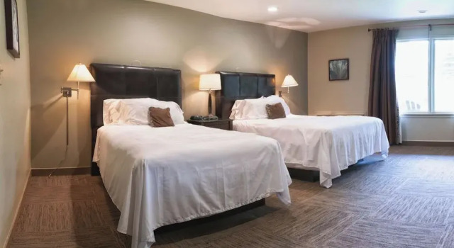 Четырёхместный номер Economy Driftwood Lodge