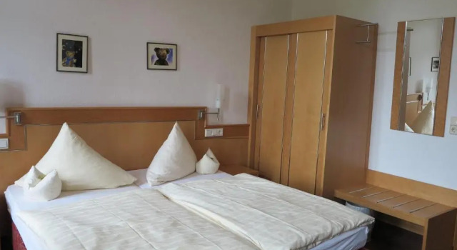Двухместный номер Standard Hotel Bären