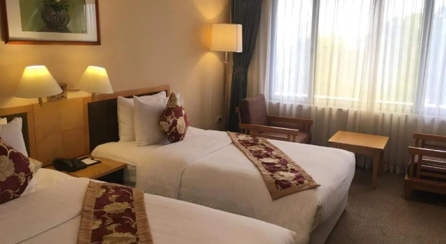 Номер Deluxe с видом на город La Passion Classic Hotel