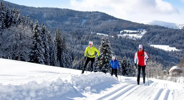 Апартаменты Studio Apartment Near Skiing