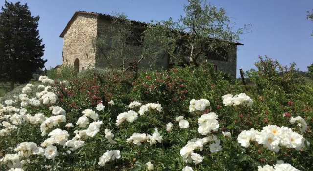 Люкс Дуплекс Borgo Del Cabreo
