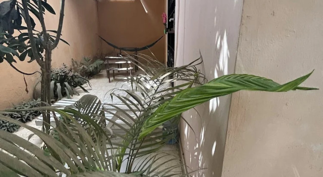 Номер Standard Jade guest House