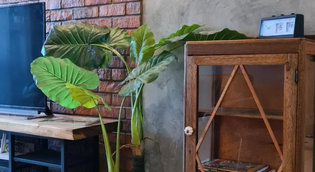Rumah Kampong Bharu near KLCC (3Rooms)