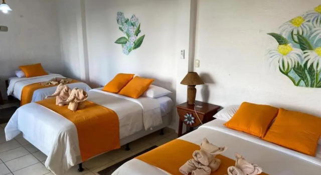 Трёхместный номер Standard Hotel Miconia