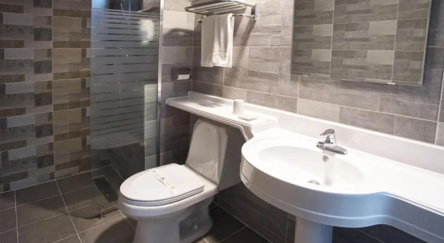 Двухместный номер Standard CS Premier Hotel