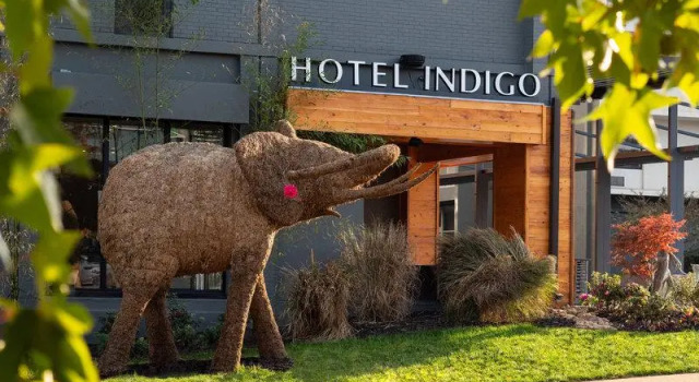 Люкс Standard Hotel Indigo Chattanooga - Downtown by IHG