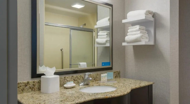Двухместный номер Premium Hampton Inn & Suites National Harbor/Alexandria Area