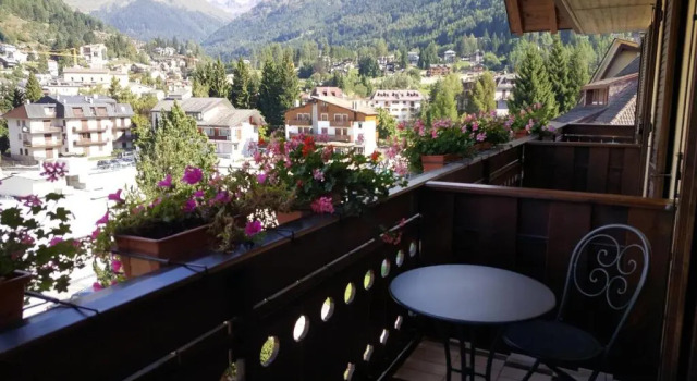 Номер Standard Hotel Pineta