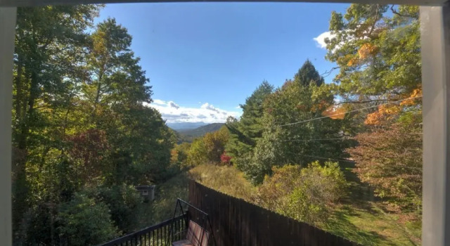 Wildflower Mountain Cottage - 3 Br Home, Брондау Демалыс үйі Флетчер Солтүстік Каролина