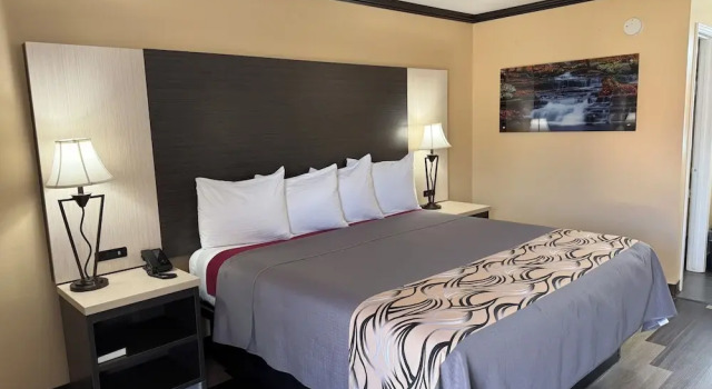 Двухместный номер Standard Regency 7 Motel