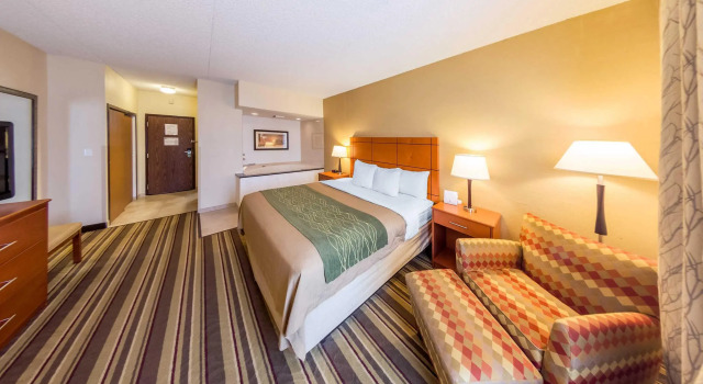 Номер Standard Comfort Inn Metro Airport