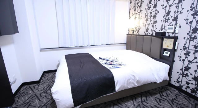 Двухместный номер Standard APA Hotel Hikoneminami