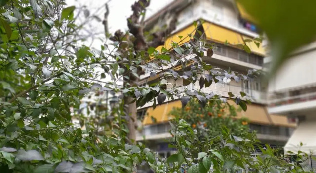 Harokopio Apartment in Athens, Забронировать Апартаменты/квартира Отели Афины с завтраком, рядом с Торговый центр Athens Heart, Завтраки