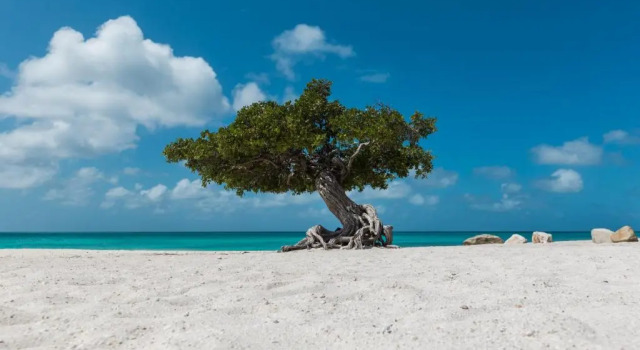 Modern Villa Private Pool 4min to Beaches!, Rezervovat Vila Noord Aruba