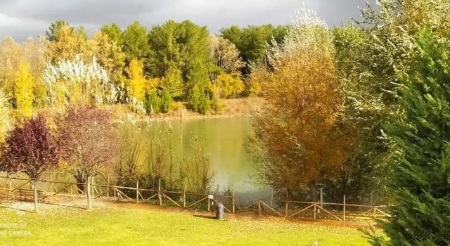 Двухместный номер Standard с видом на озеро Cameracaffè sul Lago