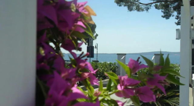 Skipper White Guest House