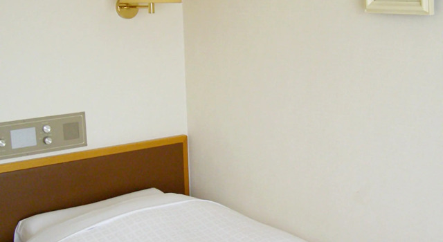 Одноместный номер Standard Ichikawa Grand Hotel